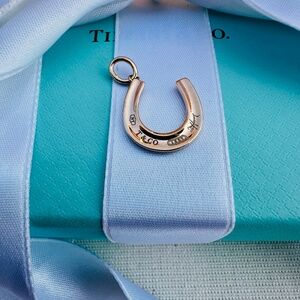 Used Tiffany & Co. 1837 Rubedo Horseshoe Charm